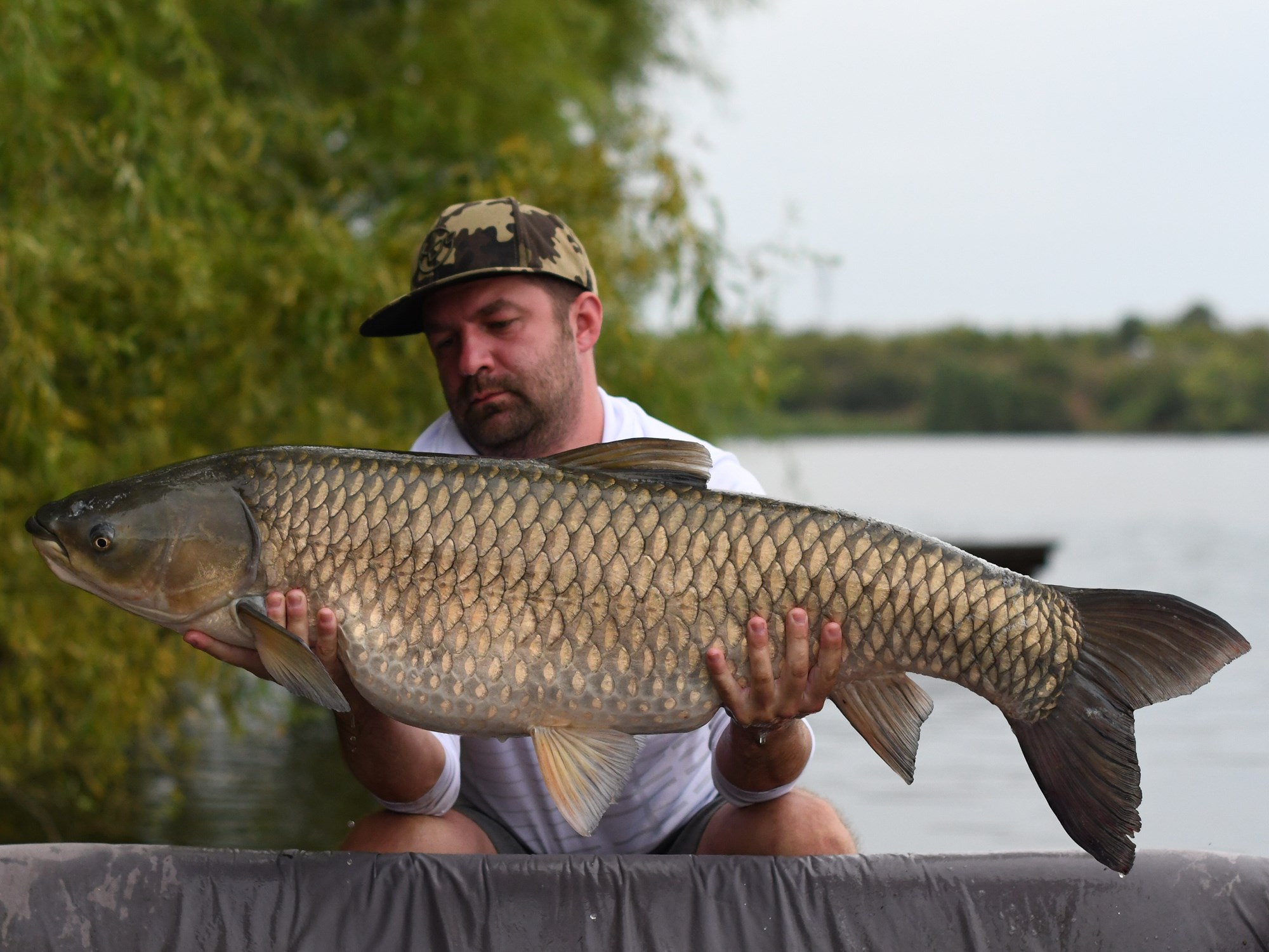 Tancabesti 17 - 23 sept. - DSC8647.jpg